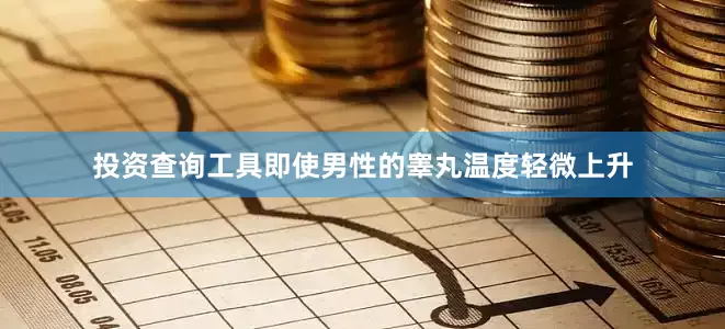 投资查询工具即使男性的睾丸温度轻微上升