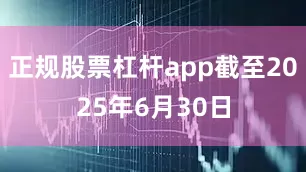 正规股票杠杆app截至2025年6月30日