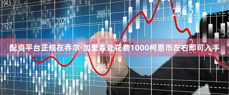 配资平台正规在乔尔·加里森处花费1000柯恩币左右即可入手