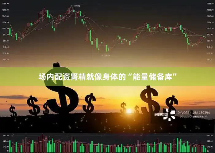 场内配资肾精就像身体的“能量储备库”