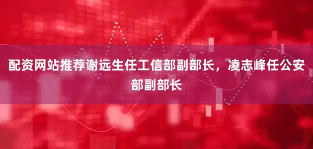 配资网站推荐谢远生任工信部副部长，凌志峰任公安部副部长